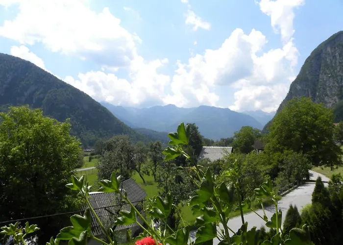 Apartma Cvetek, Srednja Vas 133
