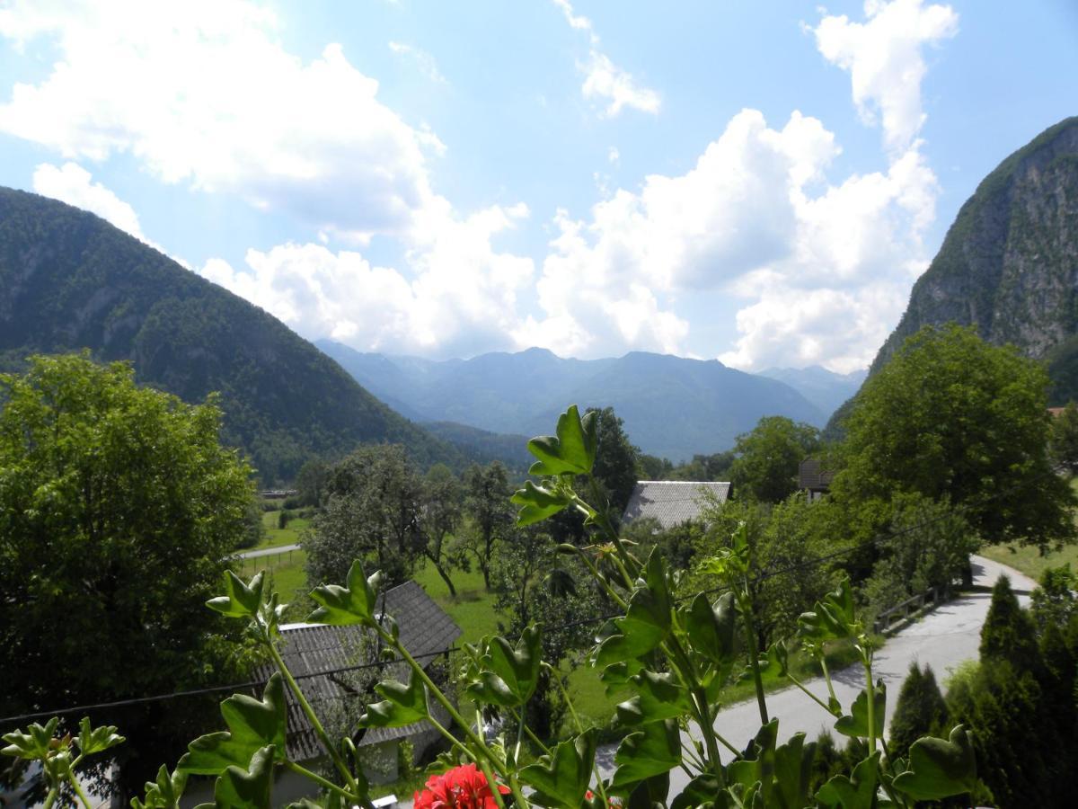 Apartma Cvetek, Srednja Vas 133 Apartment
